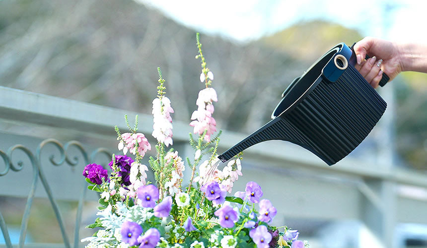 Hachiman Garden Beetle Watering Can