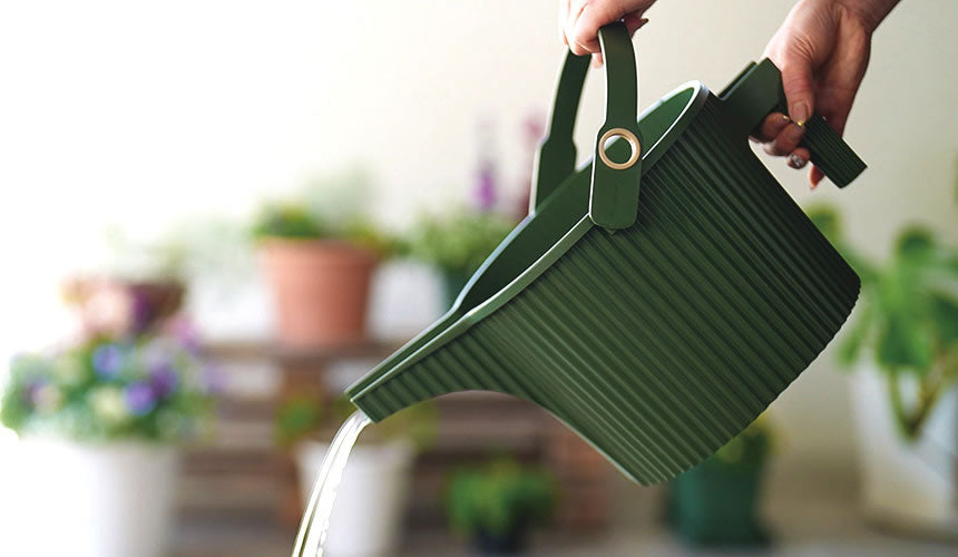 Hachiman Garden Beetle Watering Can