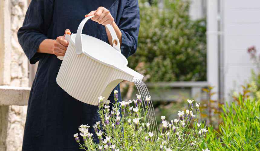 Hachiman Garden Beetle Watering Can
