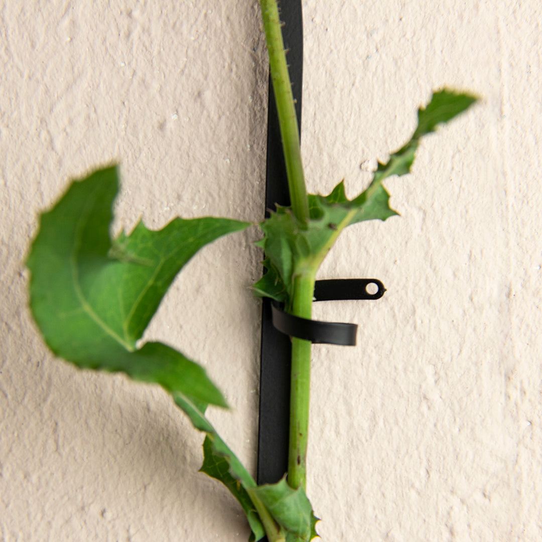Plant Chain Support - Black