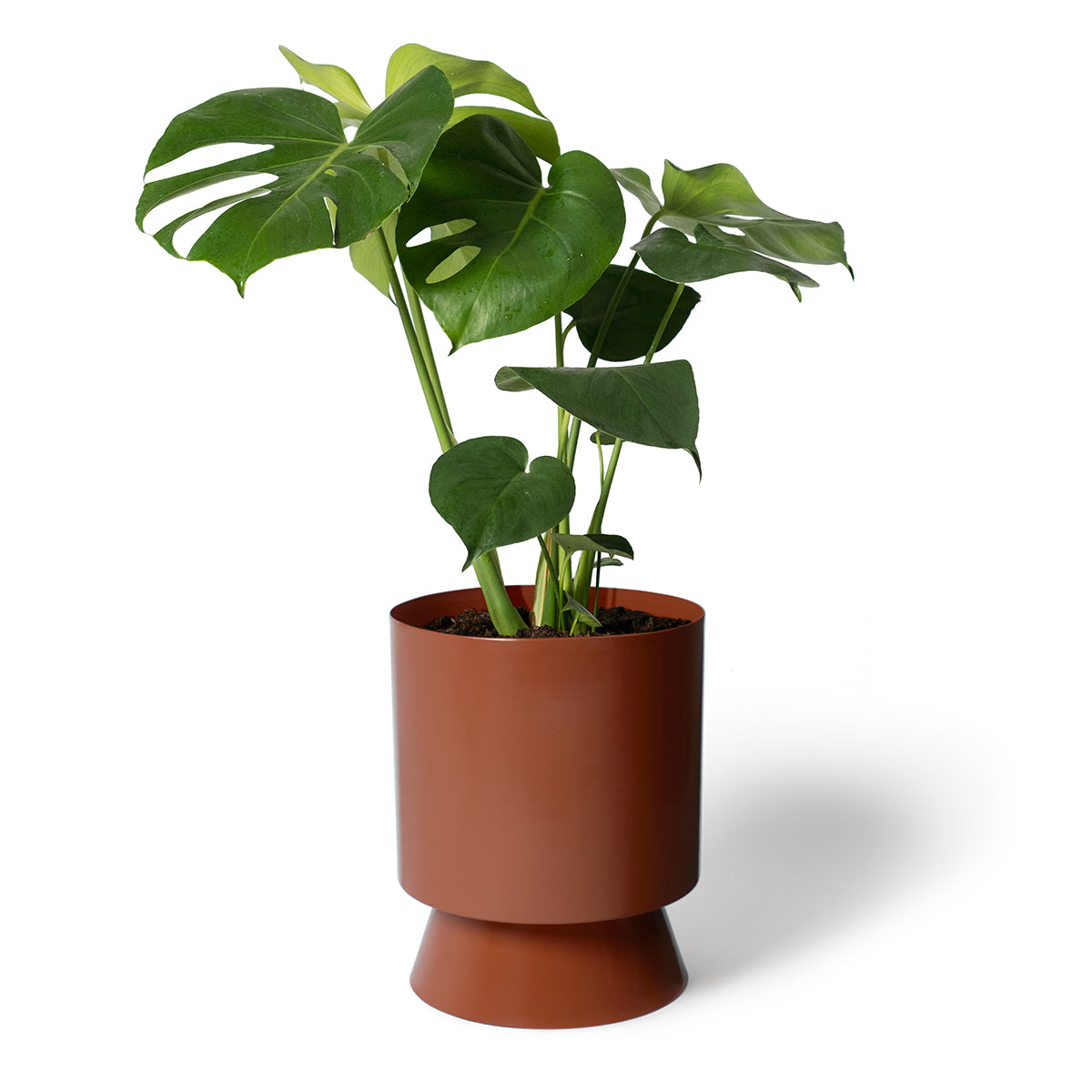 Palm Springs Planter Small - Burnt Sienna