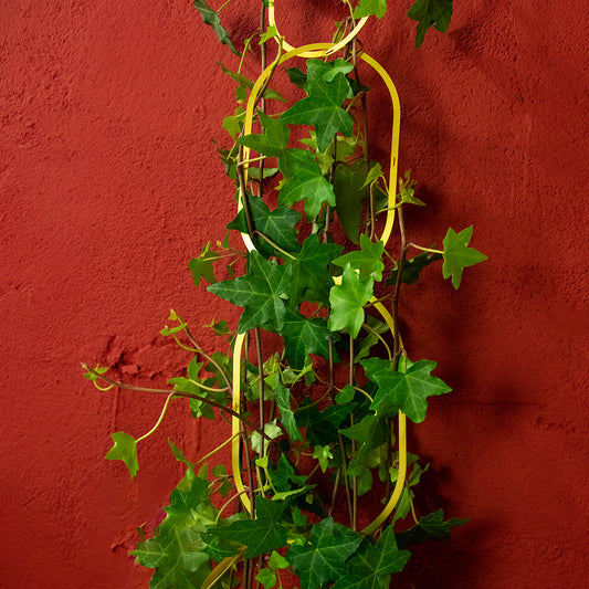 Plant Chain Support - Brass