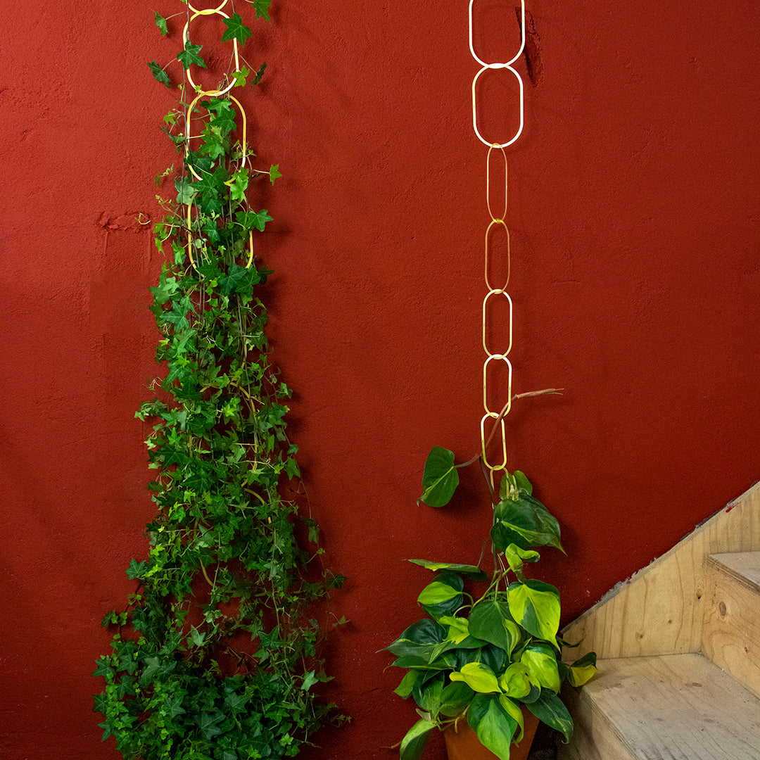 Plant Chain Support - Brass