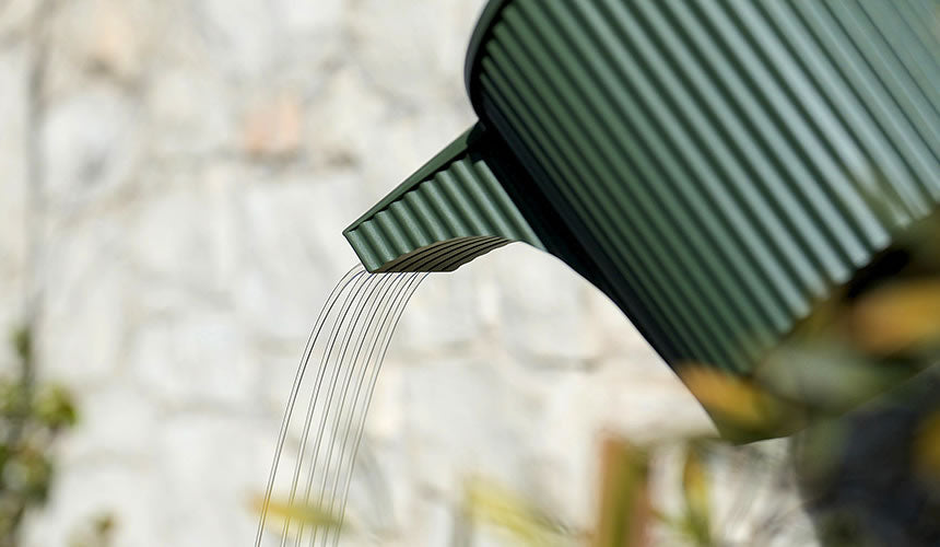 Hachiman Garden Beetle Watering Can