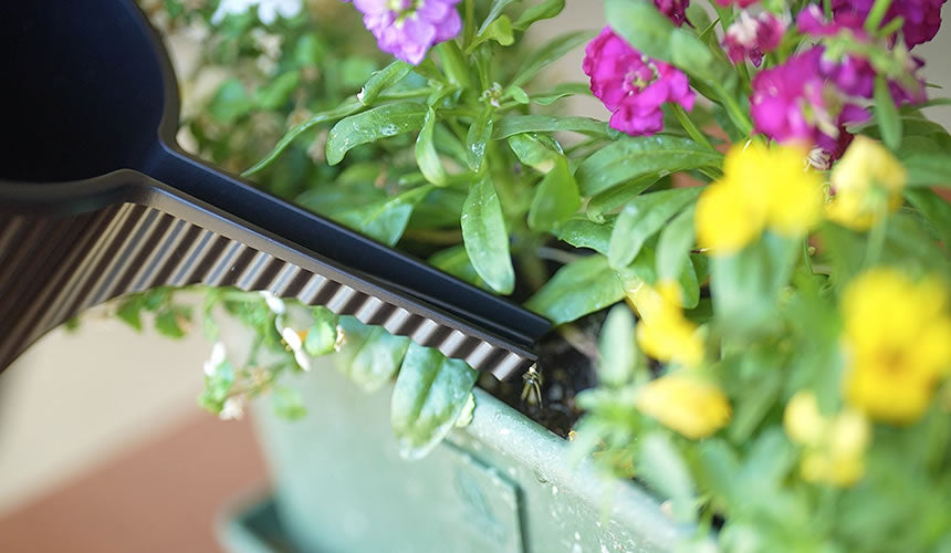 Hachiman Garden Beetle Watering Can