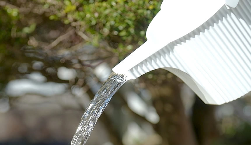 Hachiman Garden Beetle Watering Can
