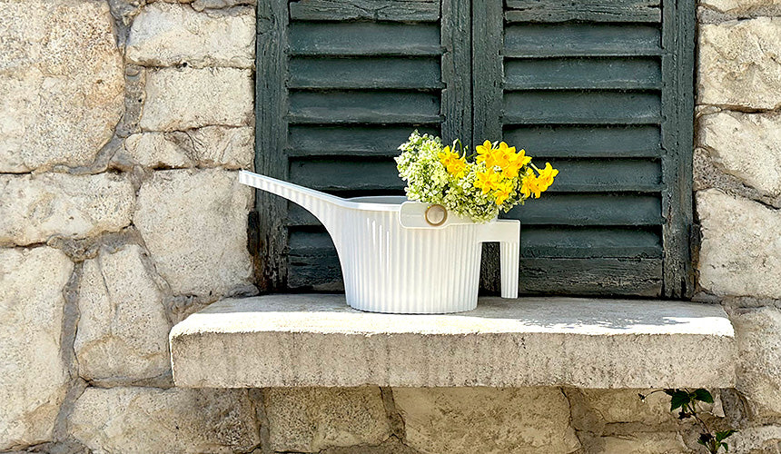 Hachiman Garden Beetle Watering Can