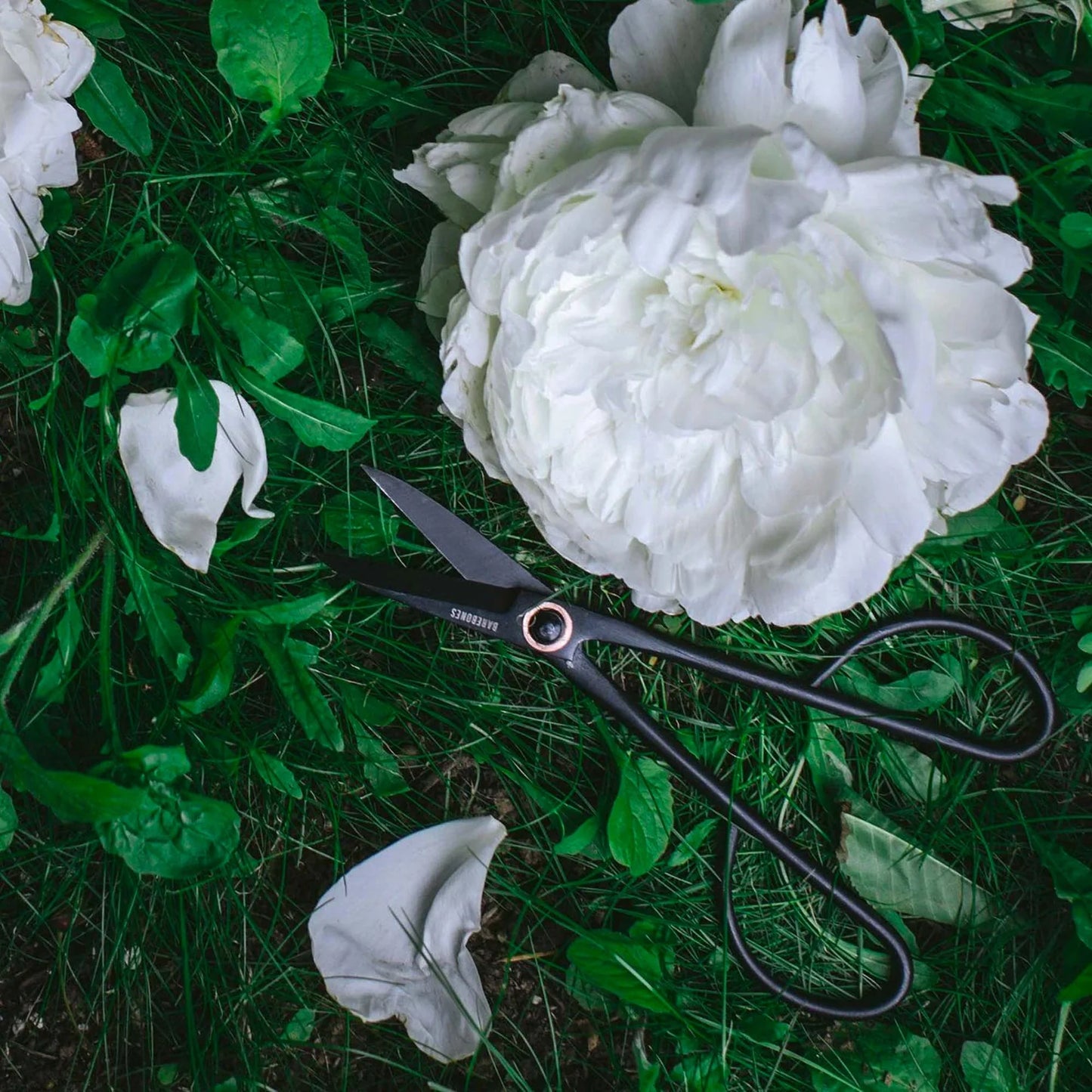 Artisan Pruning Shears