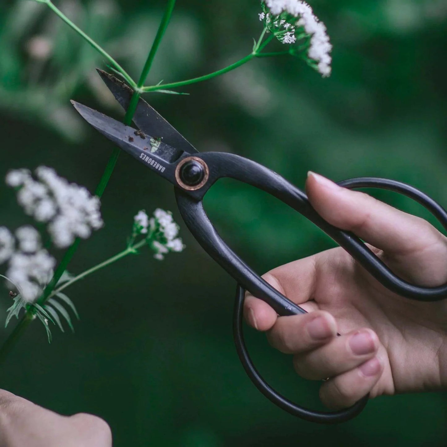 Artisan Pruning Shears