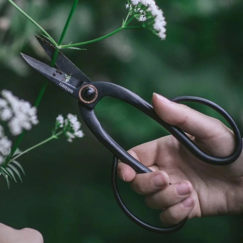 Artisan Pruning Shears