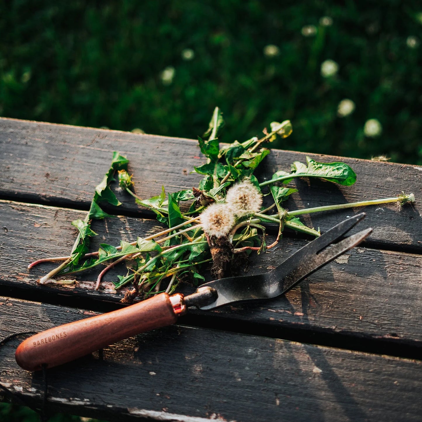 Barebones-Weeding Fork- Dandelions