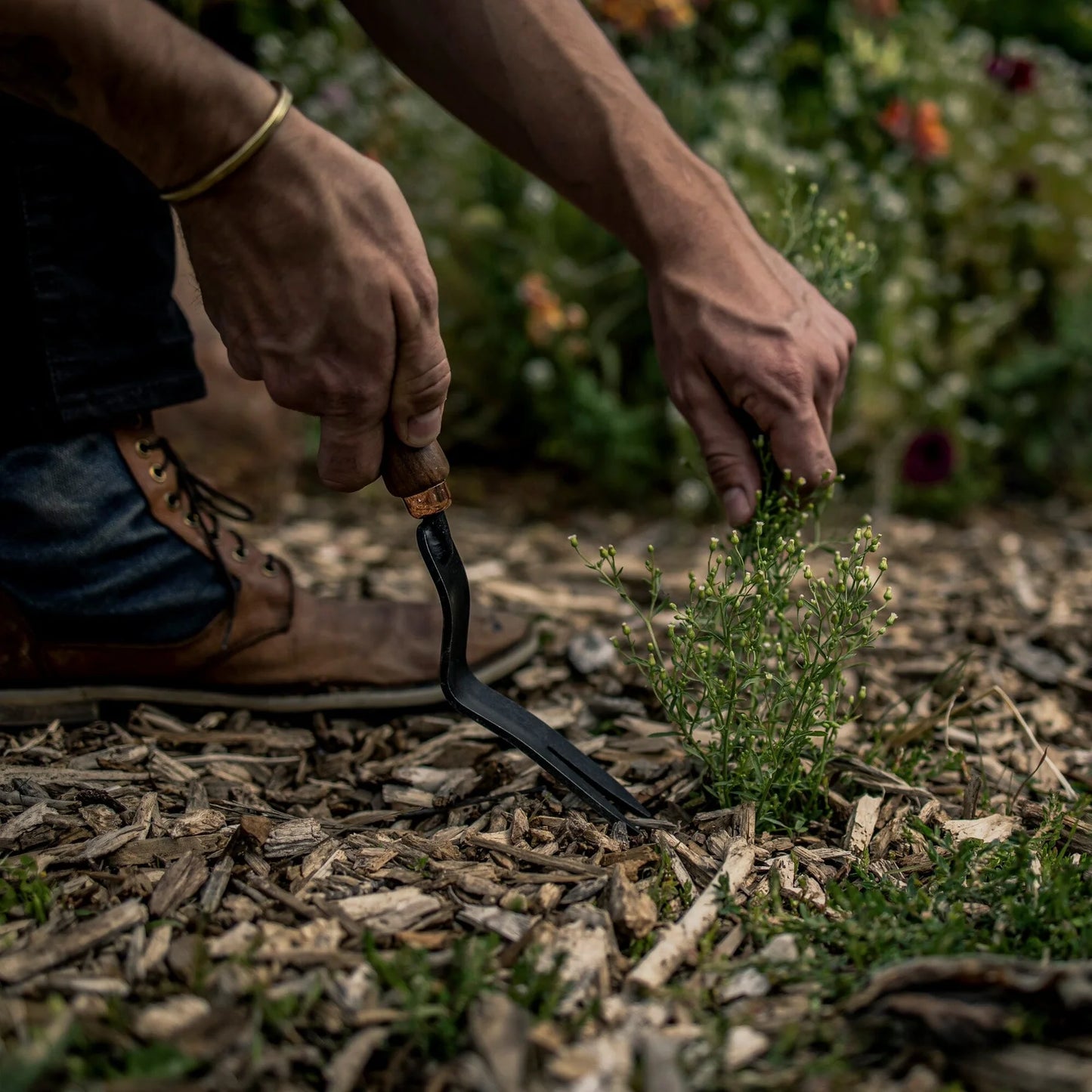 Barebones-Weeding Fork- Dandelions