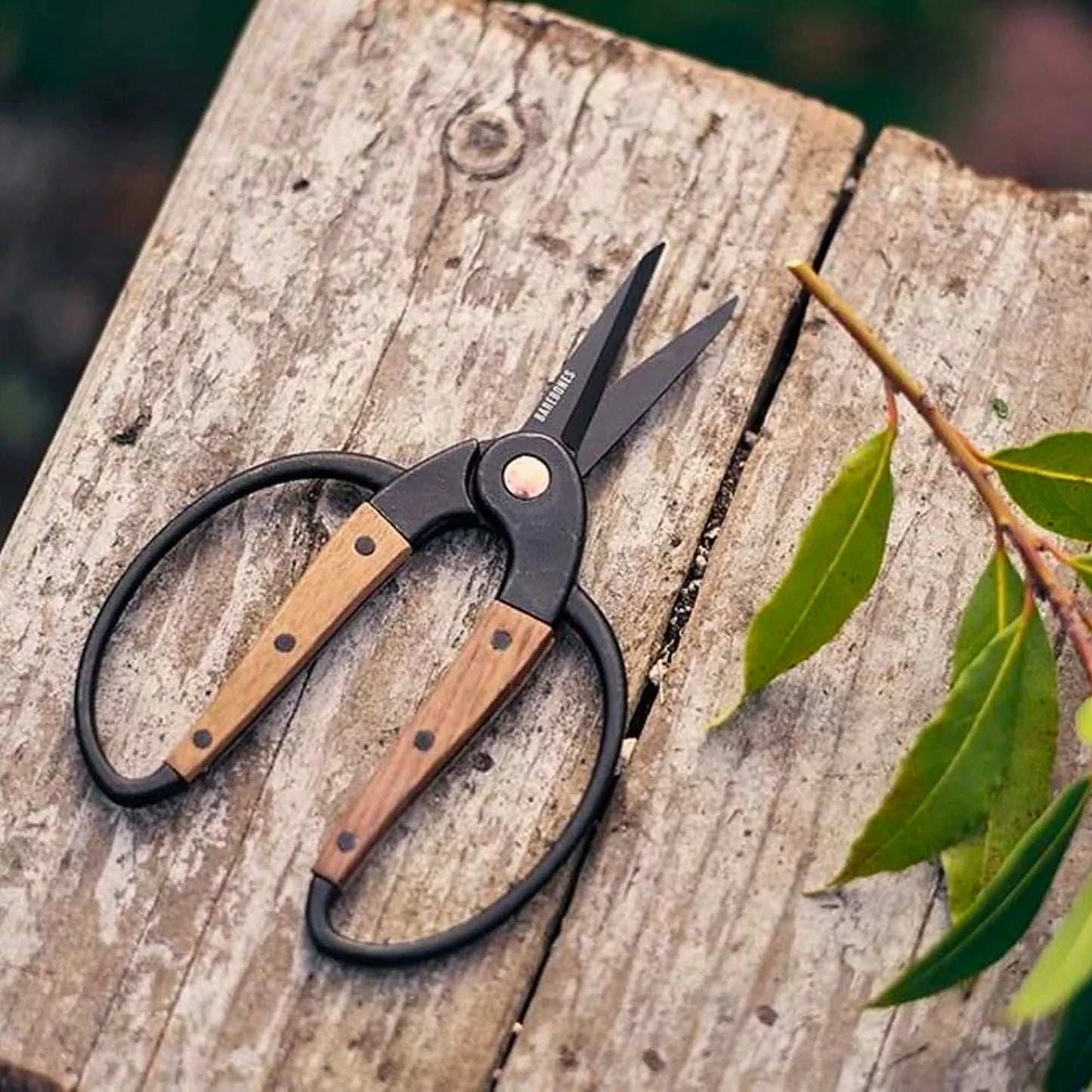 Garden Scissors Small- Walnut