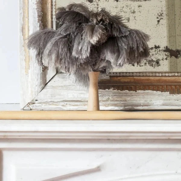 Andrée Jardin Small Feather Duster & Handle Extension