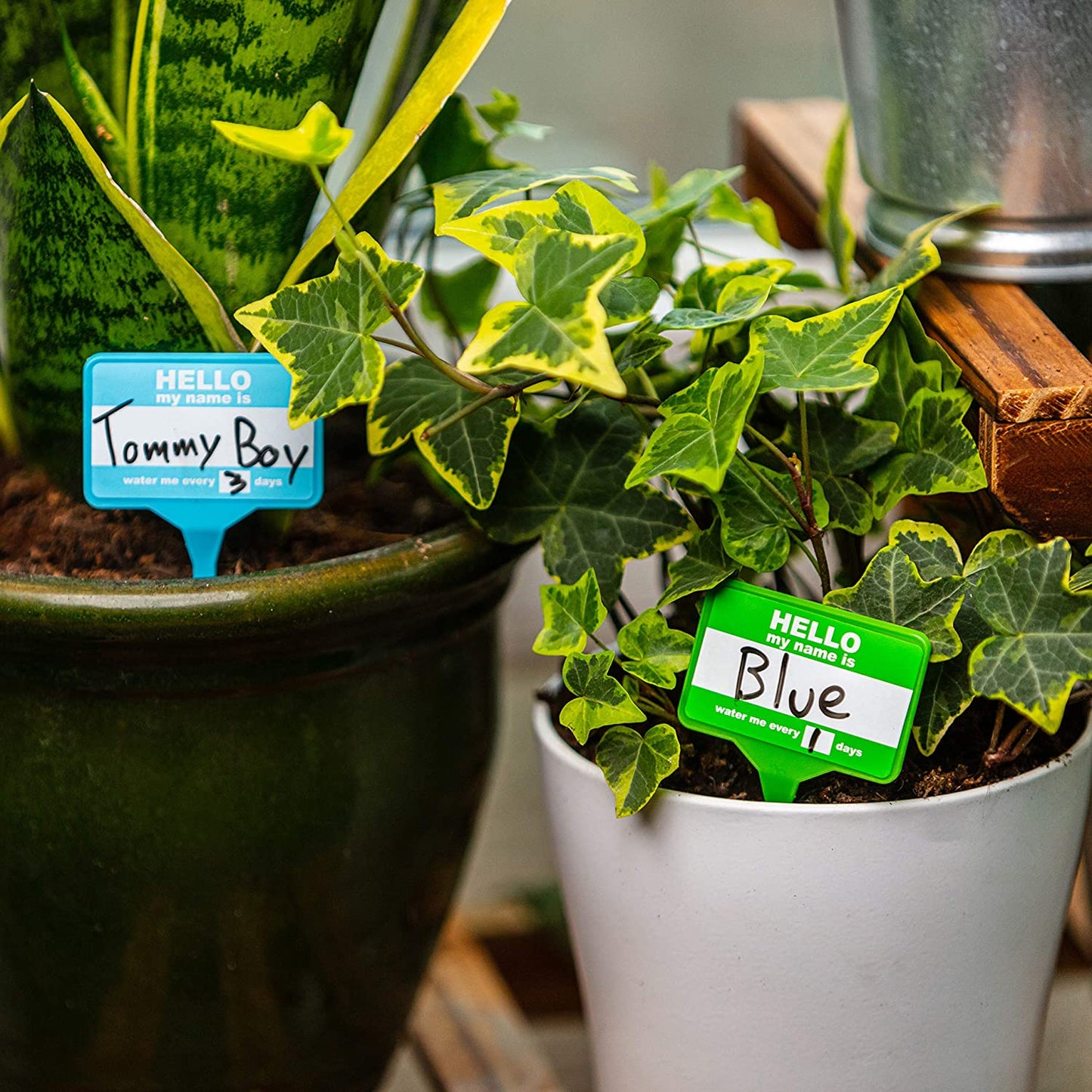 Plant Name Badges