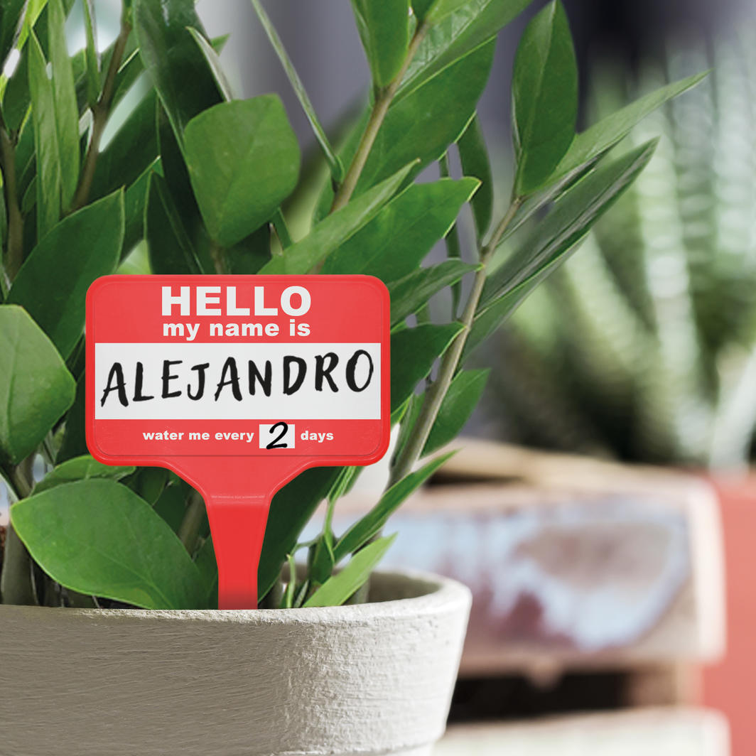 Plant Name Badges