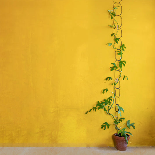Plant Chain Support - Black