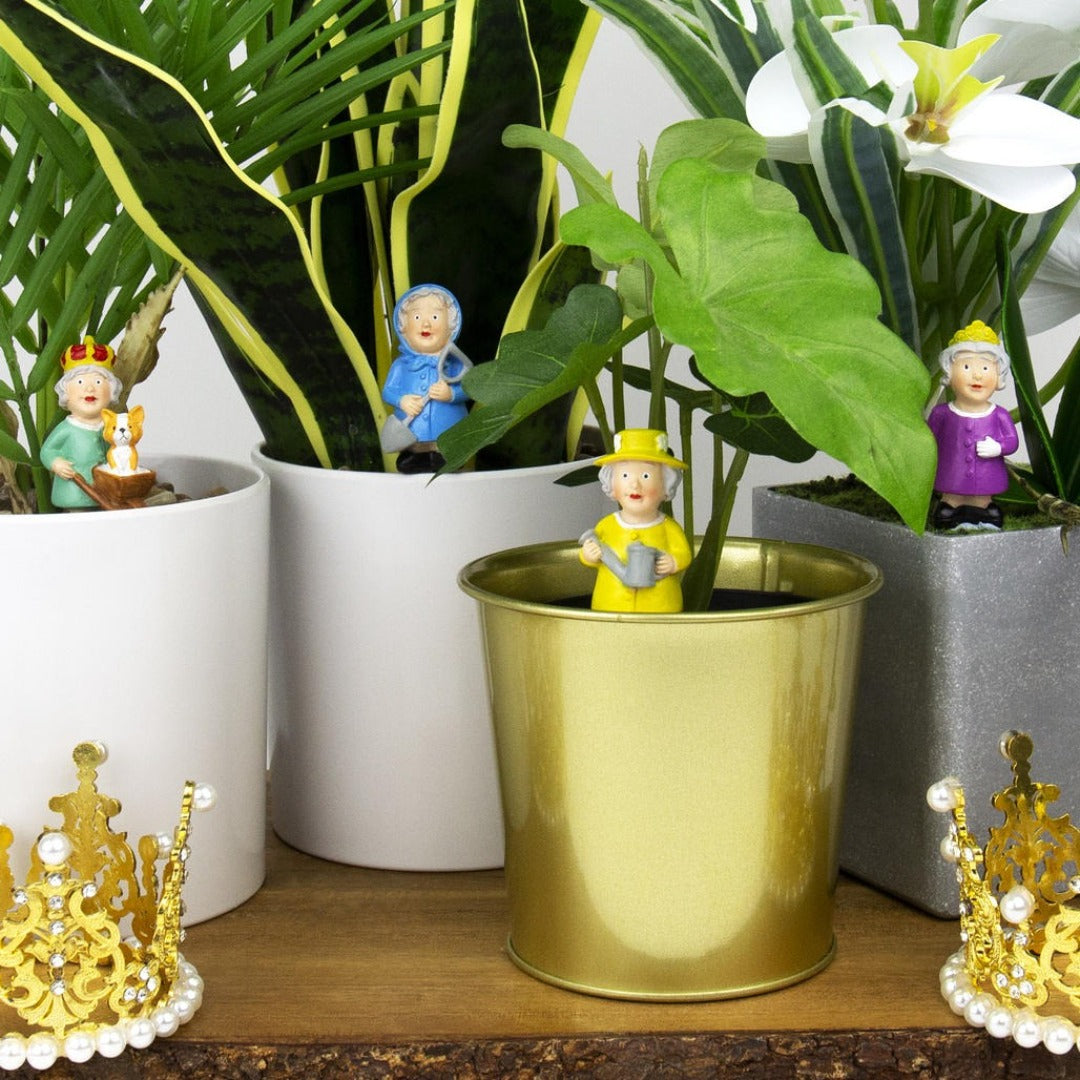 Royals Mini Gardeners for your Plant Pots
