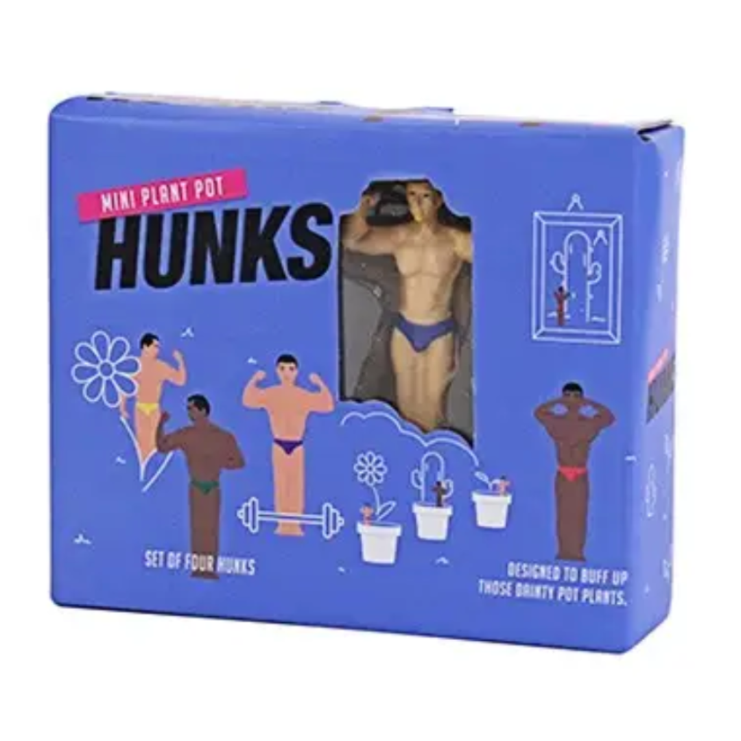 Mini Hunks for your Plant Pots