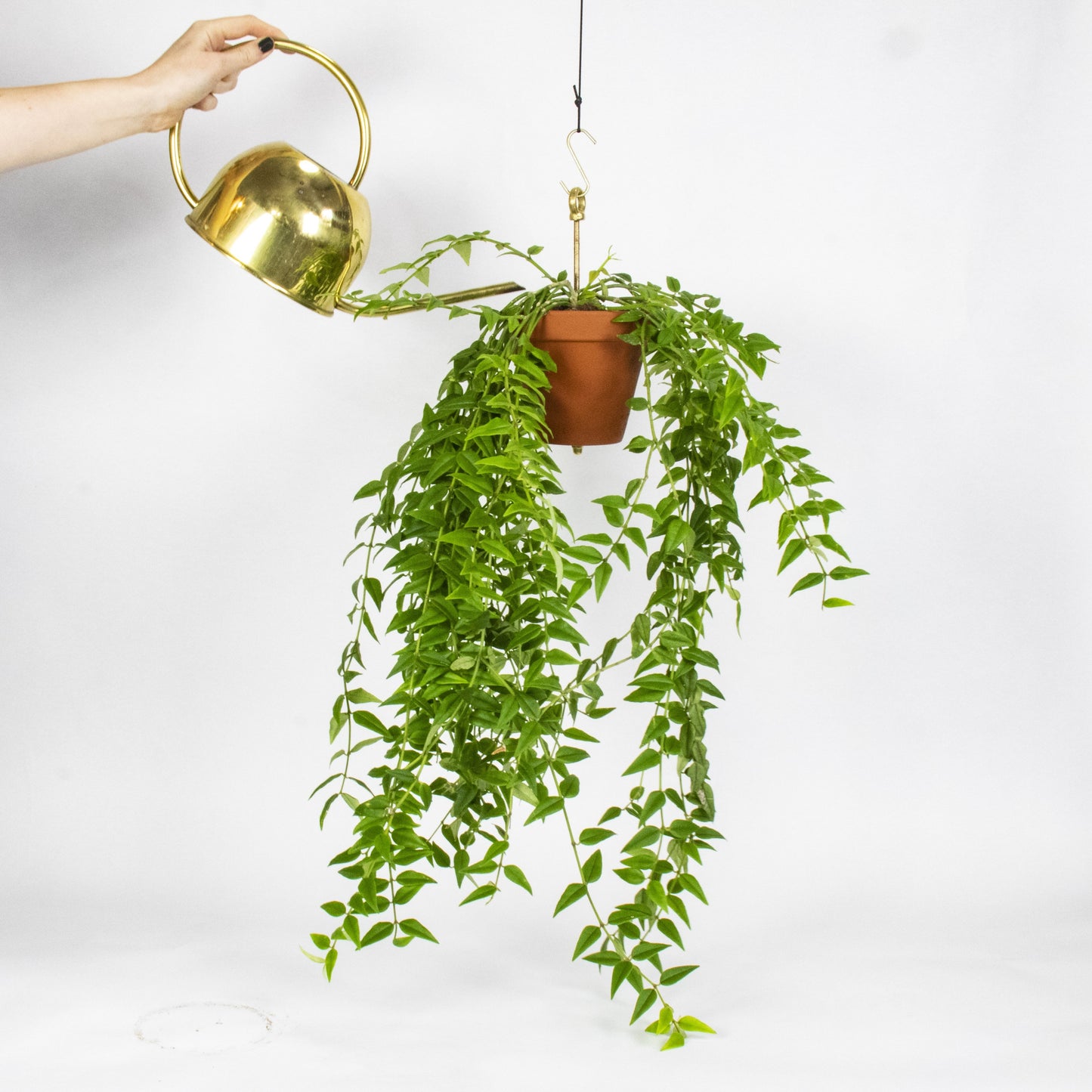 Bolty – Hanging System for Plant Pots