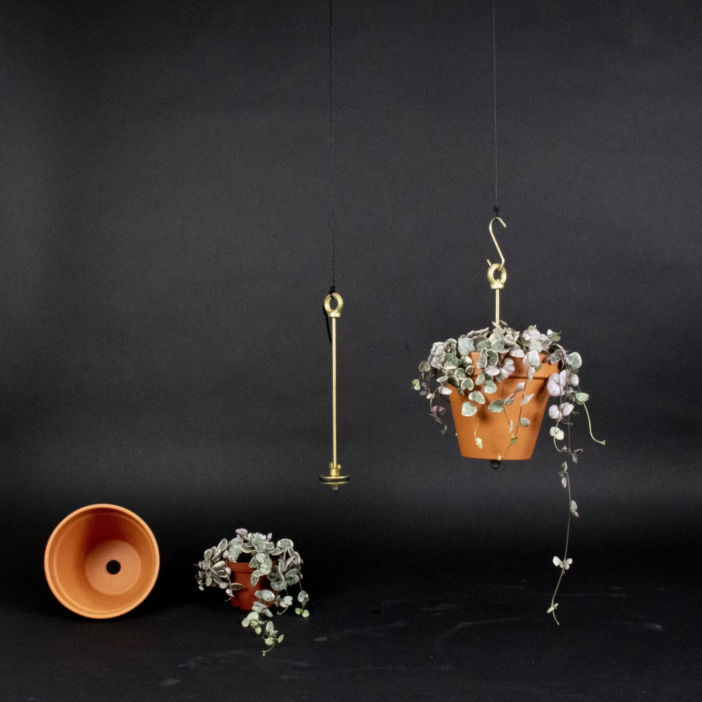 Bolty – Hanging System for Plant Pots