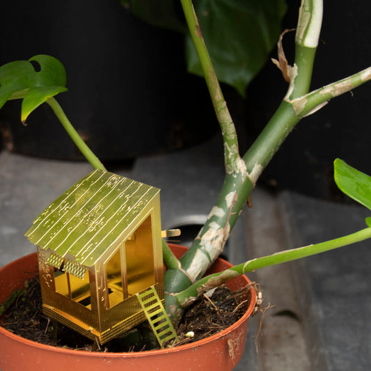 Tiny Tree House for your Plants