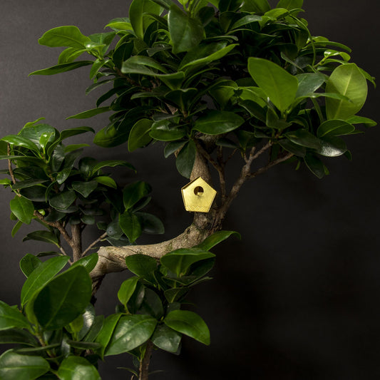 Tiny Birdhouse for your Plants