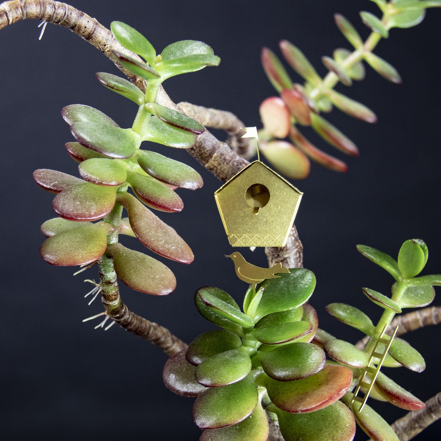 Tiny Birdhouse for your Plants