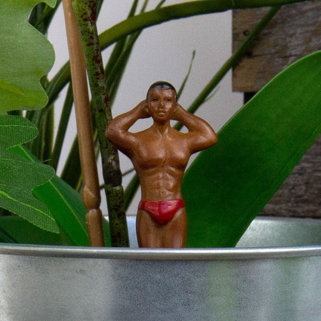 Mini Hunks for your Plant Pots