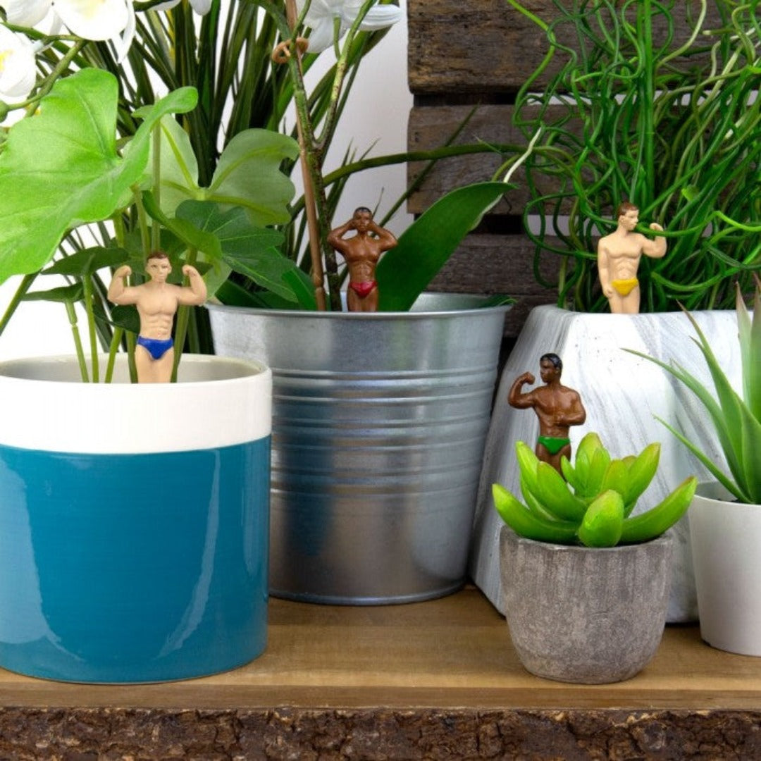 Mini Hunks for your Plant Pots