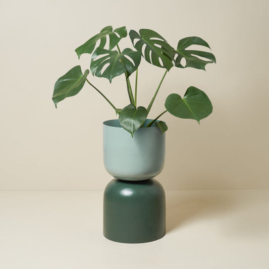 Two Tone Planter XL - Sage and Juniper